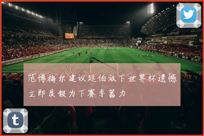 范博梅尔建议廷伯放下世界杯遗憾立即度假为下赛季蓄力