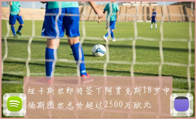 纽卡斯尔即将签下阿贾克斯18岁中场斯图尔总价超过2500万欧元