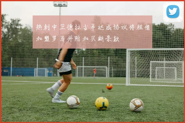 热刺中卫德拉古辛达成协议将租借加盟罗马并附加买断条款
